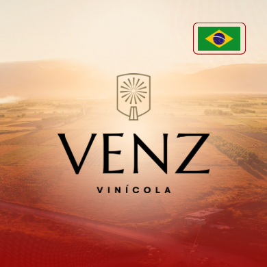 Vinícola Venz - Brasil