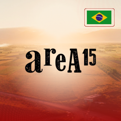Vinícola Área 15 - Brasil