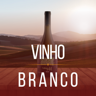 Vinhos Brancos